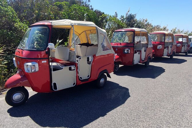 1-Hour Guided Tuk-Tuk Tour in Sintra - Stop 2: Sintra National Palace for quick panoramic photos