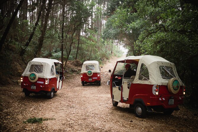 1-Hour Guided Tuk-Tuk Tour in Sintra - Stop 3: Palácio e Parque Biester and the forest-romance mood