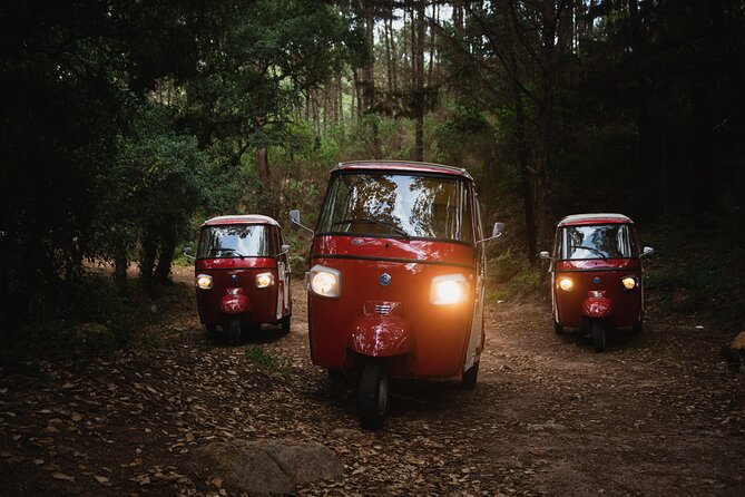 1-Hour Guided Tuk-Tuk Tour in Sintra - Stop 6: Park and National Palace of Pena—what you can do in 10 minutes
