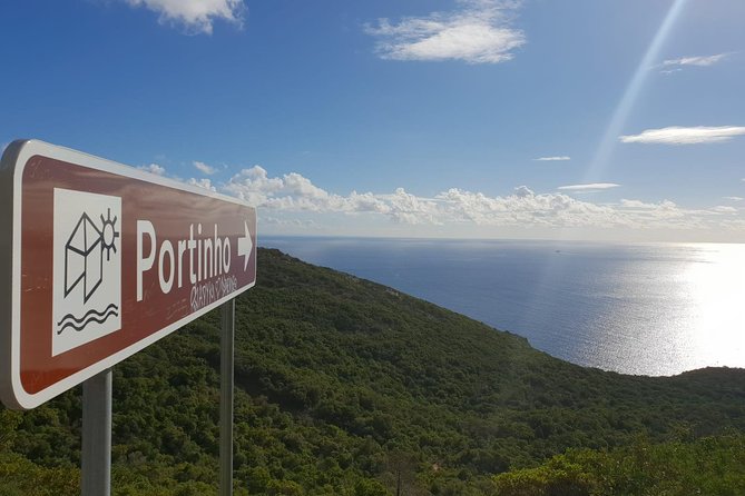 Arrábida, Palmela & Sesimbra–Wine, Tiles & Cristo Rei Experience - Pickup, the mini-van ride, and staying comfortable