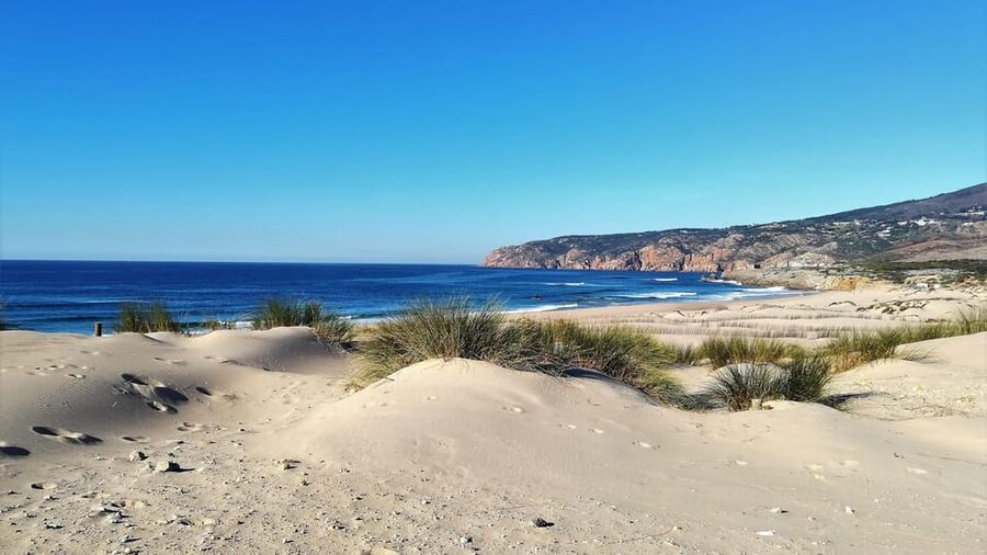 Cascais: Small group tour Sintra & Cabo da Roca & Cascais - Cascais free time: spend it like a local