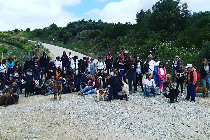 Discover Sintra's Hidden Trails: A Unique Hiking Experience - Stop 2: Sintra or Arrabida National Park Walking Time