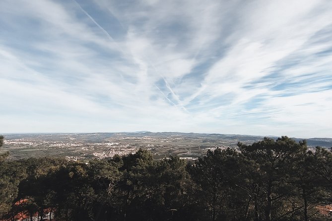 Epic Off-Road Adrenaline in Sintra - Porto wine, traditional pastry, and lunch where locals actually eat