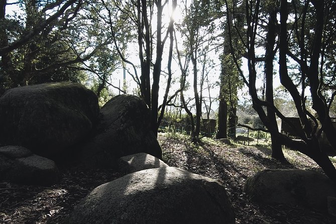 Epic Off-Road Adrenaline in Sintra - Coastline sand time and the secret beach framed by cliffs
