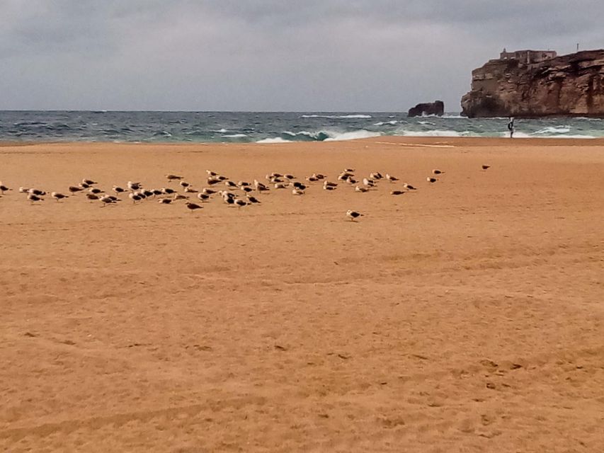 From Lisbon: Nazare and Sintra Private Tour - The Nazaré Fishing Village: Sun-Drying Fish and Real Daily Life