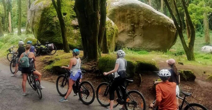 From Lisbon: Sintra and Cascais E-Bike Tour - From Santa Apolónia: starting in Lisbon without stress