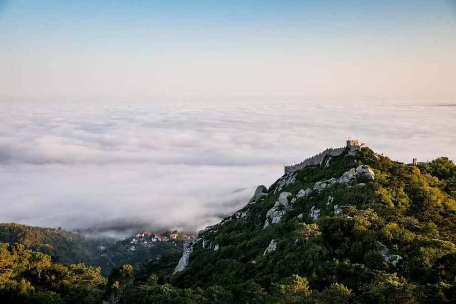 From Lisbon: Sintra Cascais Guided Tour with a Local Expert - Quinta da Regaleira and Monserrate: the gardens you remember