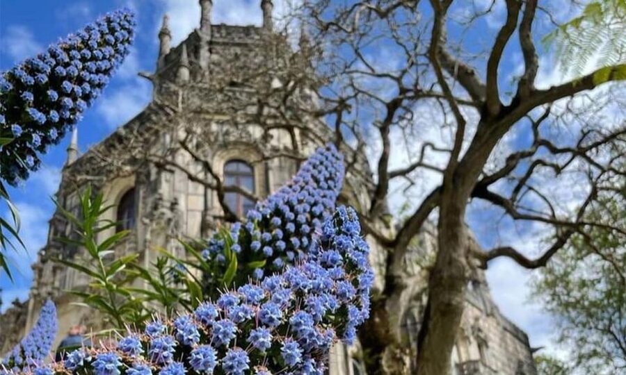 From Lisbon: Sintra, Pena Palace and Regaleira Day Trip - Pena Palace: the exterior you’ll remember (and what you won’t do)
