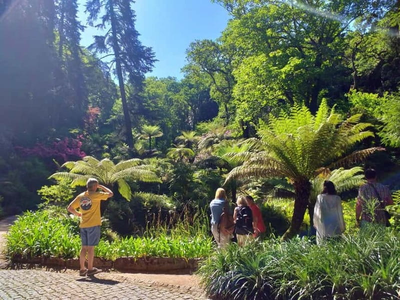 From Lisbon: Sintra's Historical and Natural Gems - Guides and group size: what makes this feel like a good day out