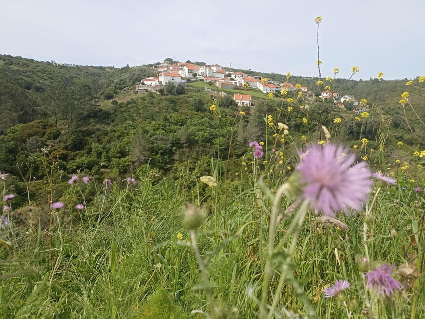 From Sintra, Mafra, or Ericeira: Hike and Wine Tour - Key highlights at a glance