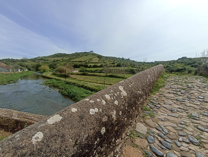 From Sintra, Mafra, or Ericeira: Hike and Wine Tour - Cheleiros and Mata Pequena: real villages, not just photo stops