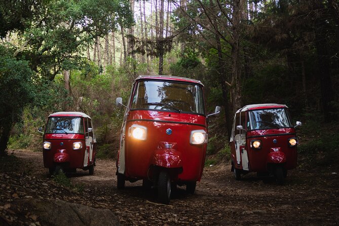 Full-Day Guided Tuk-Tuk Tour in Sintra - The Moorish Castle and Pena Palace Park: medieval views, then the main event