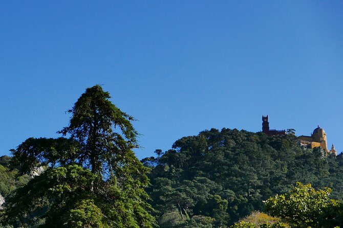 Half day adventures in the Sintra mountain - Monserrate Palace: finish with botany and the palace of love
