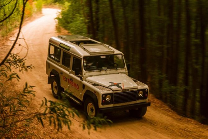 Half-day Sintra Jeep Safari - Why a Half-Day Jeep Safari Works in Sintra