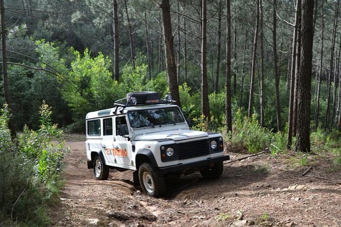 Half-day Sintra Jeep Safari - How Long It Really Takes: When the Schedule Tightens