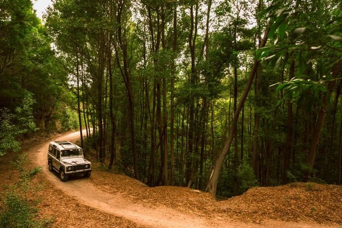 Half-day Sintra Jeep Safari - Who Should Book This Jeep Safari (and Who Might Not)