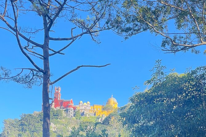 Half Day Tour in Sintra and the Coastline - Price and value: what $162.56 covers, and what you may pay at the gate