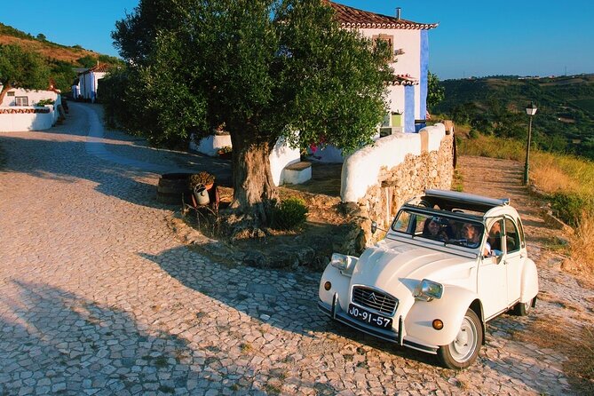 Lisbon Countryside Food Tour on a Vintage Car - The picnic at the stone table: local, organic, and built for real conversations