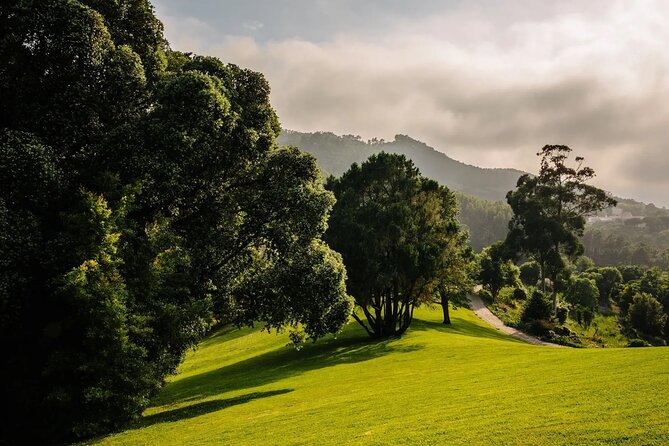 Park and Palace of Monserrate - Key highlights at Monserrate