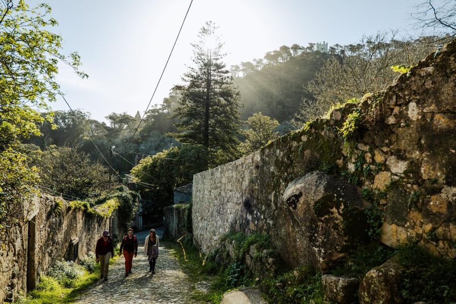 Pena Palace, Moorish Castle,Quinta ad Regaleira:Walking tour - Moorish Castle mountain trail: the walk that sets the tone