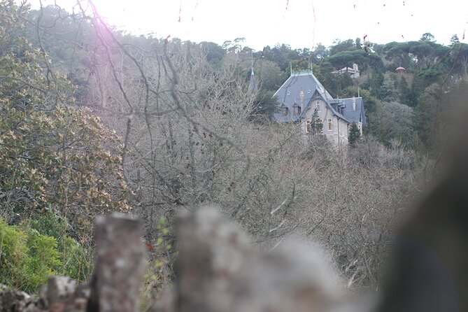Private 1 hour and half Sintra Guided Tour - Pena Palace and the Park: Romantic Views with Gothic, Manueline, and Mudéjar