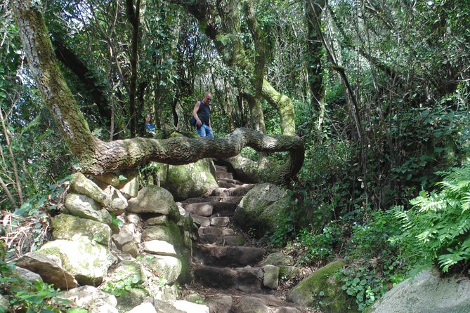 Private Day Tour from the Centre to the Highest Point in Sintra. - Pena Park (88 Hectares) and the High Cross: Where the Day Really Goes