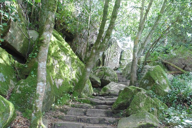 Private Day Tour from the Centre to the Highest Point in Sintra. - Exiting Pena Park: Farm-Area Descent and the Moorish Castle Exterior Walls