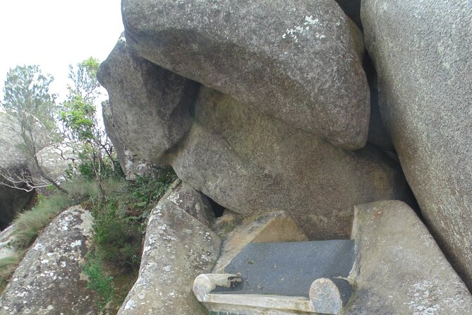 Private Day Tour from the Centre to the Highest Point in Sintra. - Price and Value: Is $116.36 Worth It?