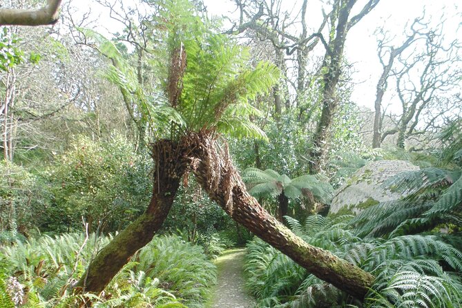 Private Day Tour from the Centre to the Highest Point in Sintra. - Who Should Book This Private High-Point Day Tour?