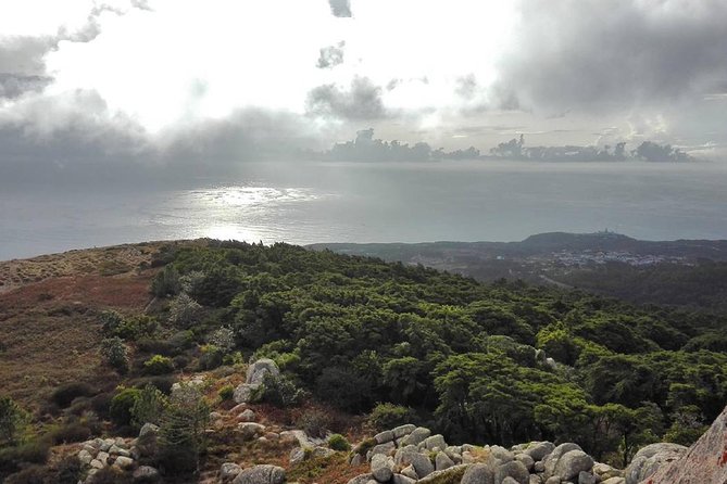 Private Evening Walk Inside the Forest: "Sintra Mountains Inbetween Wolves" - Timing in Sintra: starting two hours before sunset (and why it’s smart)