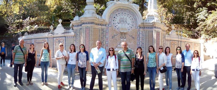 Private Half Day tour Sintra Pena Palace & Initiantion Well - Timing tips that make the day smoother