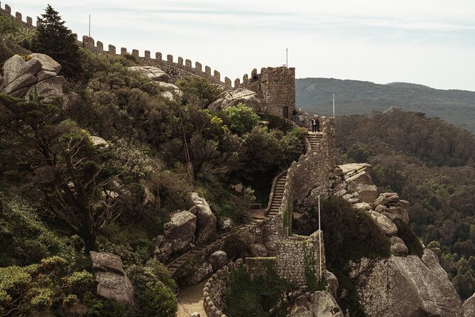 Private Half-Day Tour to Sintra (Pena Palace & Moorish Castle) - From Pickup to Parque da Pena: The Start That Sets the Tone