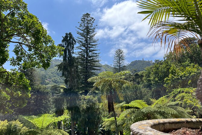 Private: Quinta da Regaleira & Sintra Historic Center Guided Tour - Where to meet and how to avoid wasting tour time