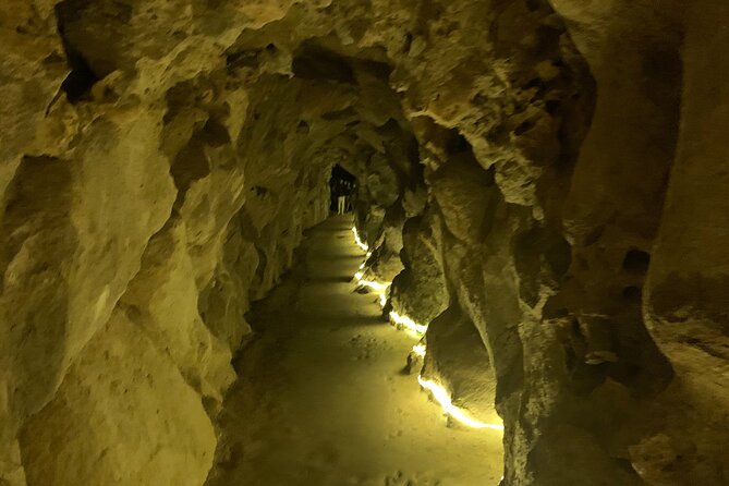 Quinta da Regaleira and Sintra visit half day private tour - Crowds, rain, and comfort: how to prepare like a local