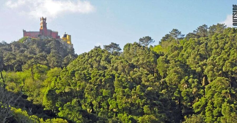 Sintra: 3.5-Hour Rock Climbing Experience - Why this Sintra climb feels different from a sightseeing day