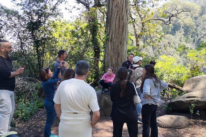 Sintra ALL PALACES - small groups (2-6pax) PRIVATE TOUR - Stop 4: Sintra National Palace (a fast history-and-views moment)