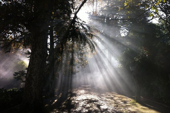 Sintra & Cabo da Roca Private Tour - Choosing Your Stops: 3 to 8 Hours of Palace and Cliff Time