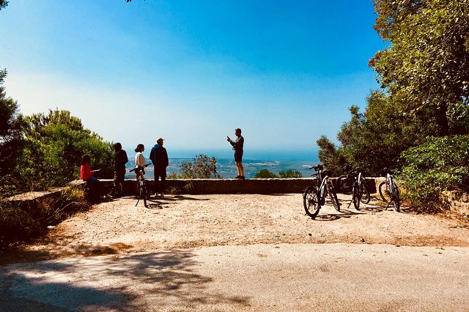 Sintra & Cascais e-bike Guided Tour - Palacio Nacional de Sintra: chimneys, orientation, and a Castle view