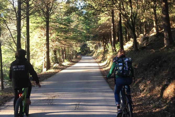 Sintra & Cascais e-bike Guided Tour - Colares and Penedo: riding through the natural park edges