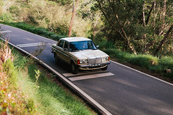 Sintra & Cascais Full Day - Private Tour in Classic Car - The 8.5-hour rhythm: when to relax and when to move