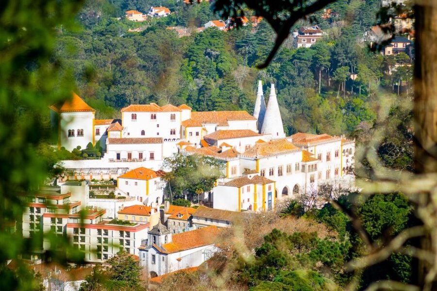 Sintra: Full-Day Private Tour & Pena Palace Entry Option - Pace, Comfort, and Who This Tour Works For