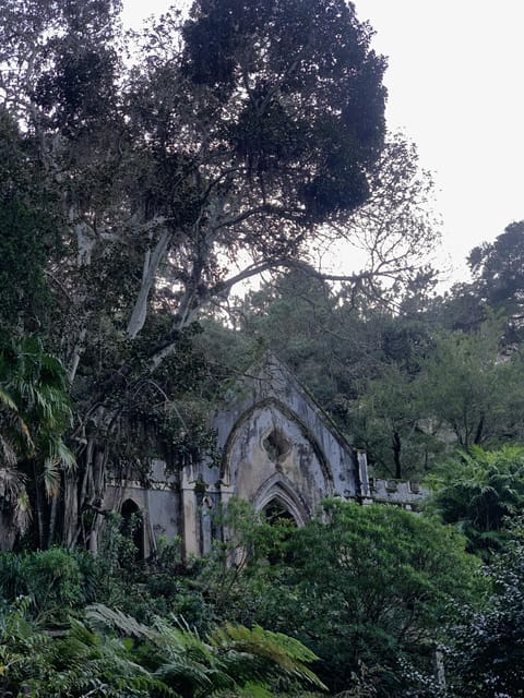 Sintra Highlights: Private Local Tour - Palaces & Views - Sintra Mountain Palaces: Pena, Regaleira, Monserrate, and Your Choice