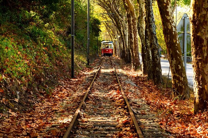 Sintra Jeep Adventure – Wine, Food & Freedom - Starting at Wonder Van: meet, ride, and get the day’s flow