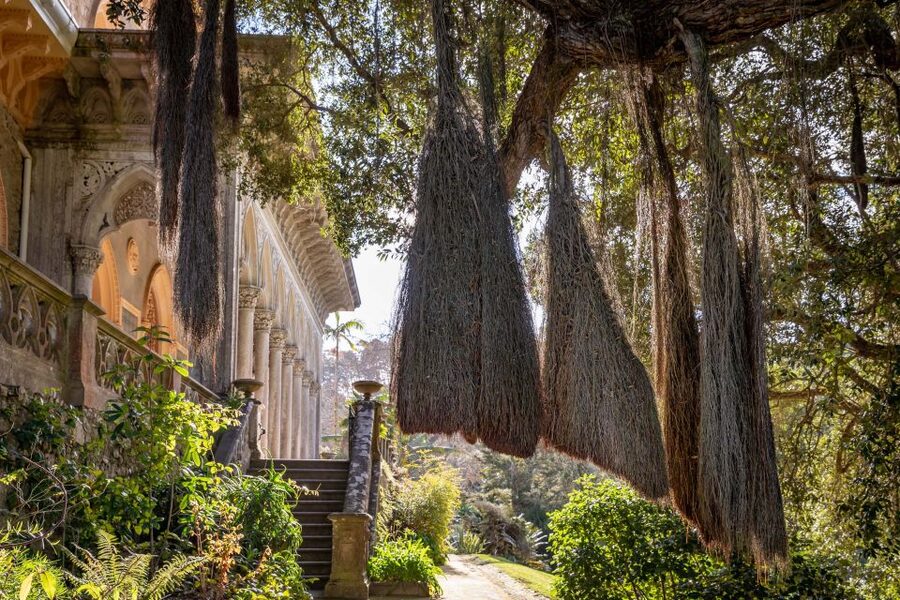 Sintra: Monserrate Palace & Park Ticket - Monserrate Palace in Sintra: the one that feels calmer