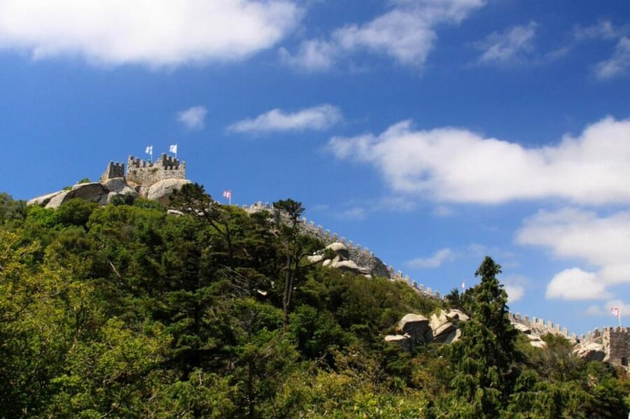 Sintra: Official Public Bus Transport: All Palaces & Castles - Pena Palace and the Moorish Castle Area: Using Line 434 Like a Pro