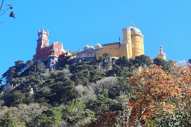 Sintra Palaces and Forest Private Tour - Stop 1: Sintra National Palace viewpoints (and optional interior)