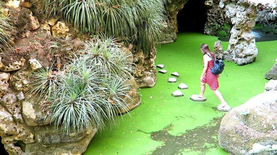 Sintra: Quinta da Regaleira Entry Ticket and Guided Tour - Price and value check for $47 per person