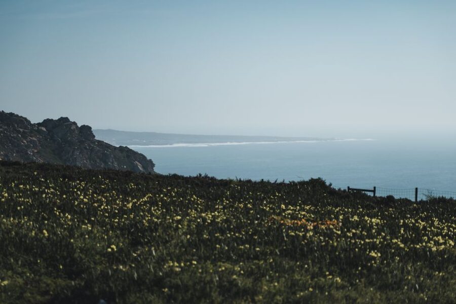 Sintra: Regaleira, Cabo da Roca and Cascais Jeep Safari Tour - Guincho Beach: the tasting stop you’ll actually remember