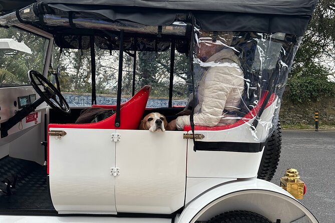 Sintra Tour by Electric Tuk Tuk - Price and value: what $77.89 includes (and what it doesn’t)