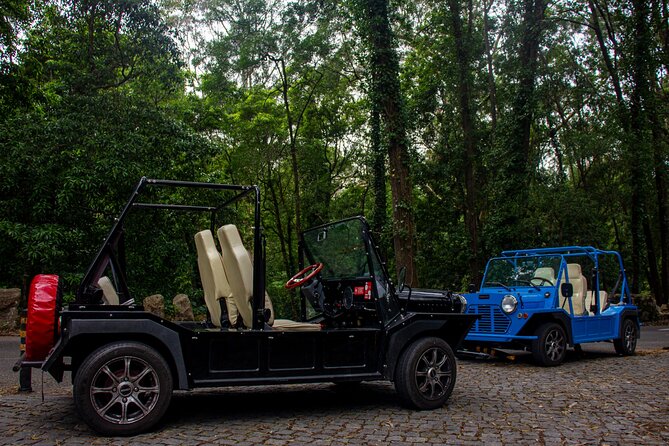 Sintra Tuk Tuk (Electric) 4-5 hours tour - Stop 1: Sintra National Palace viewpoint and spring water tasting
